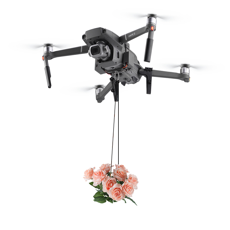 DJI Mavic 2 Pro/Zoom Drone Rin - Dji Drone Mini 4 Pro 리뷰 및 가격